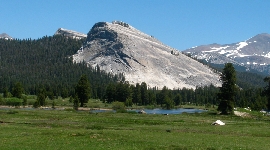 Eastern Meadows